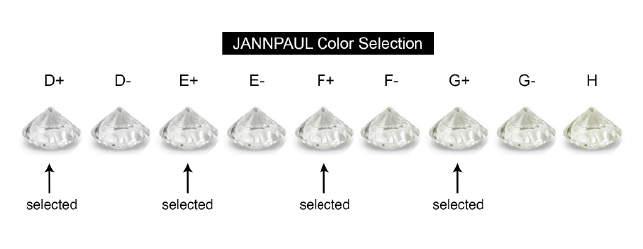 JannPaul Color Selection