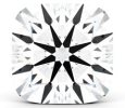 Cushion Brellia